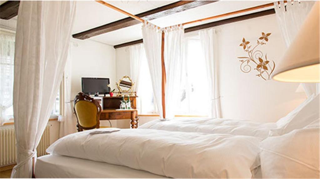 Hotel Rebe Herrliberg 객실 사진
